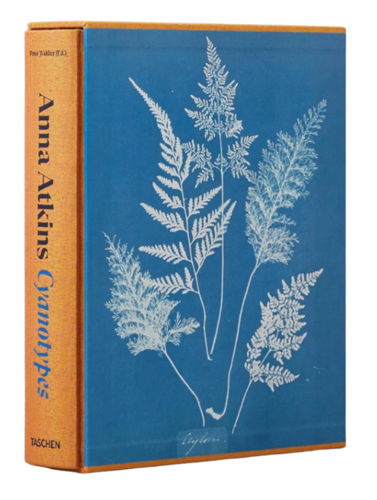 Cyanotypes