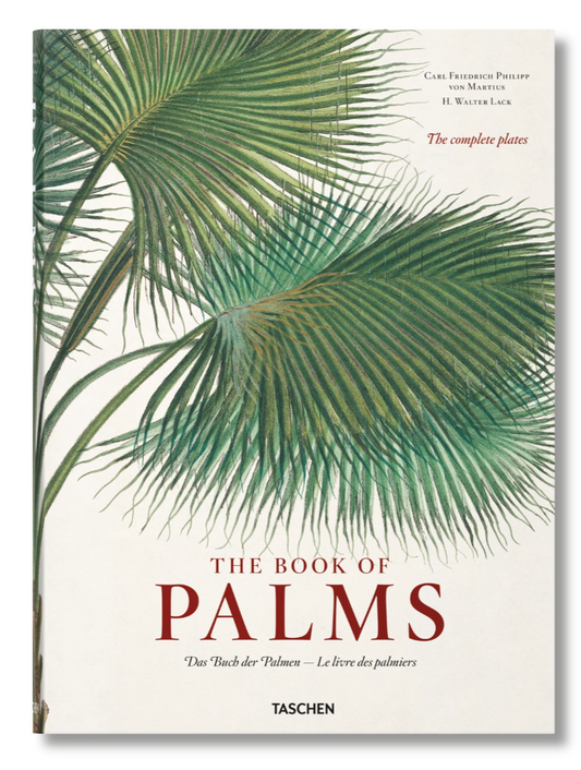 The Book of Palms