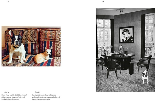 Yves Saint Laurent and his Dogs: Amigos Forever