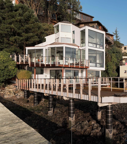 In Situ: Unique Homes Crafted for California Living