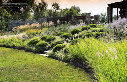 Enduring Gardens: The Tame and the Wild