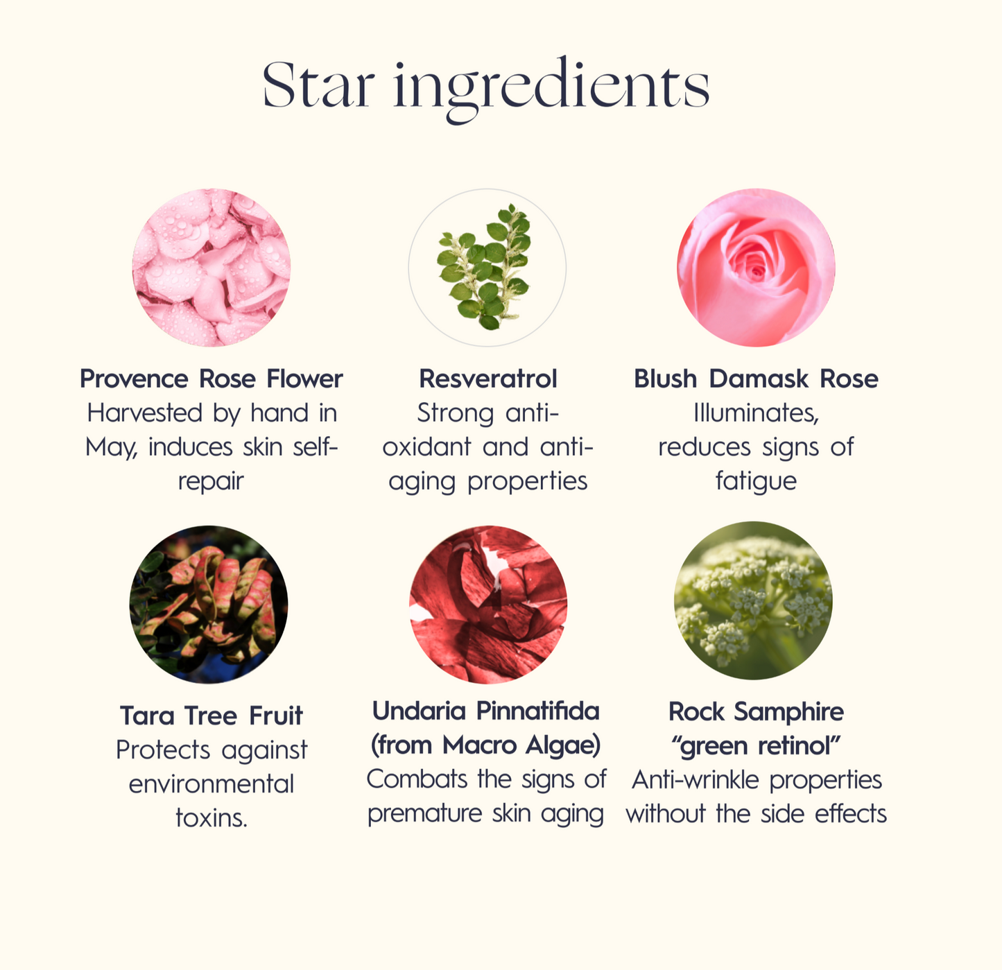 Lift & Glow Rose Serum