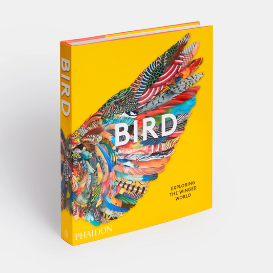 Bird: Exploring The Winged World