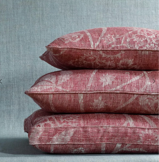 Pink Astrea Pillow