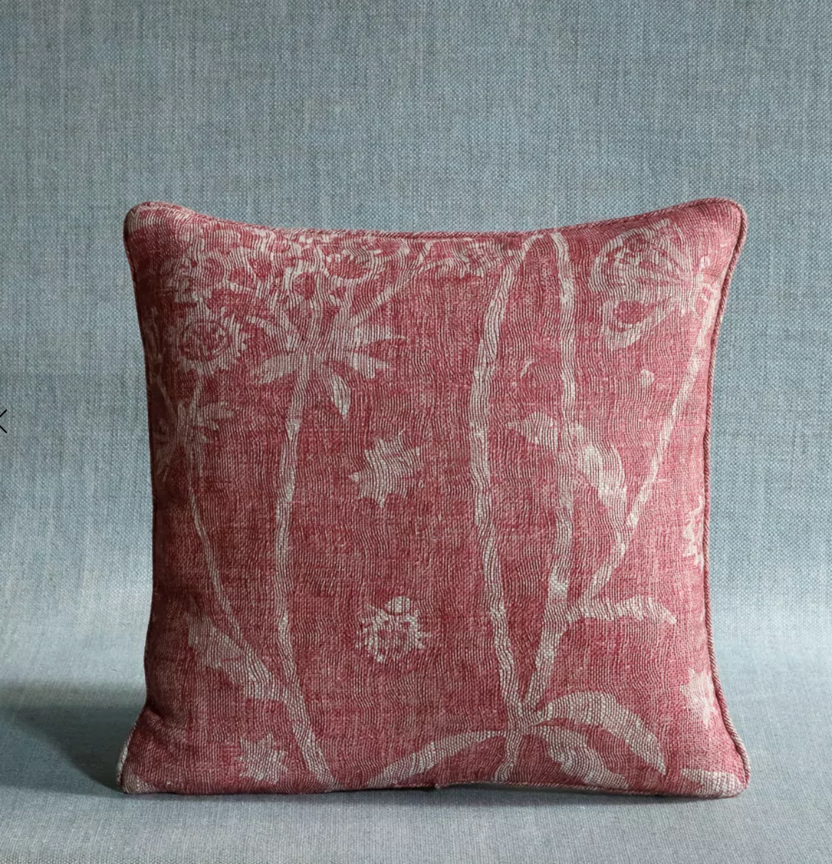 Pink Astrea Pillow