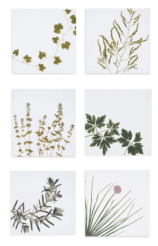 Set of Gastronomic Herb Napkins