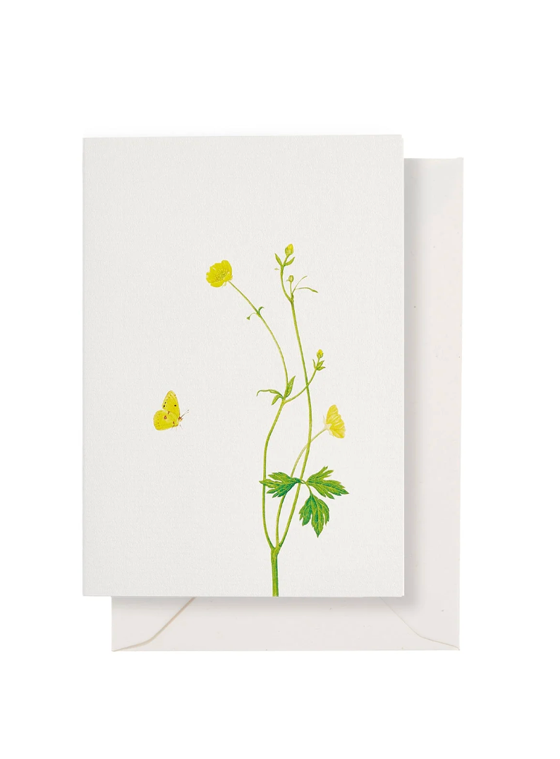 Greeting Card