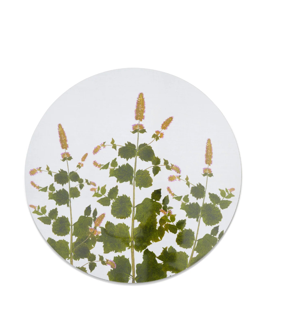 Set of Herbanium Tisane Round Placemats