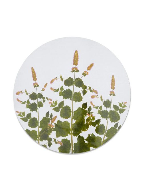 Set of Herbanium Tisane Round Placemats