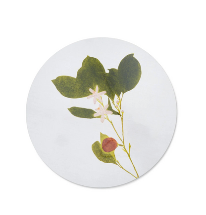 Set of Herbanium Tisane Round Placemats