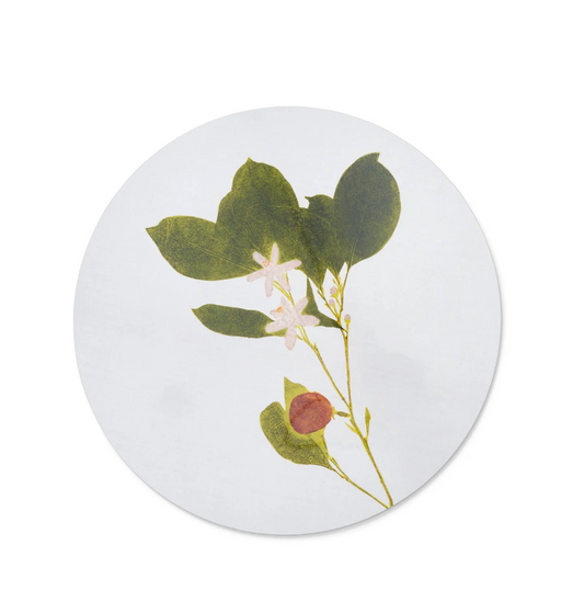 Set of Herbanium Tisane Round Placemats