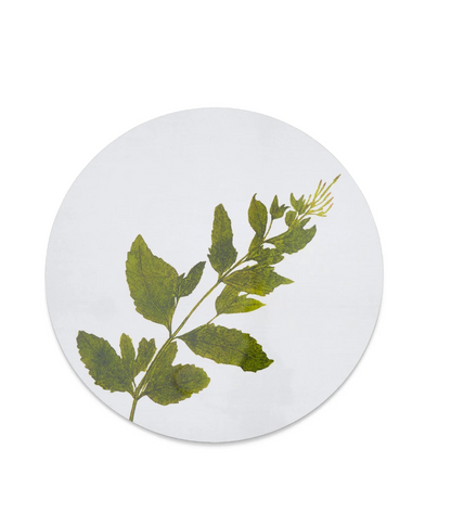 Set of Herbanium Tisane Round Placemats