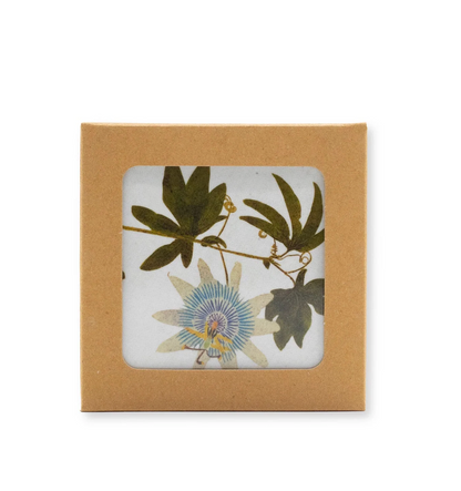 Set of Herbanium Coasters