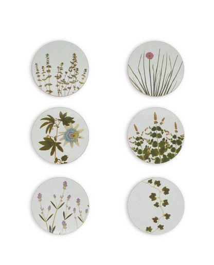 Set of Herbanium Coasters