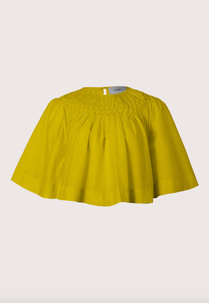 Sanjh Top