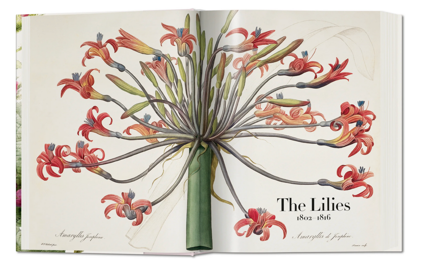 The Book of Flowers
