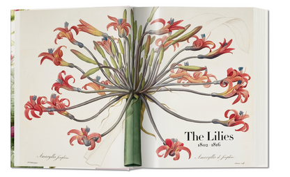 The Book of Flowers