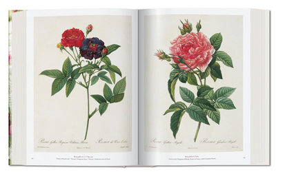 The Book of Flowers