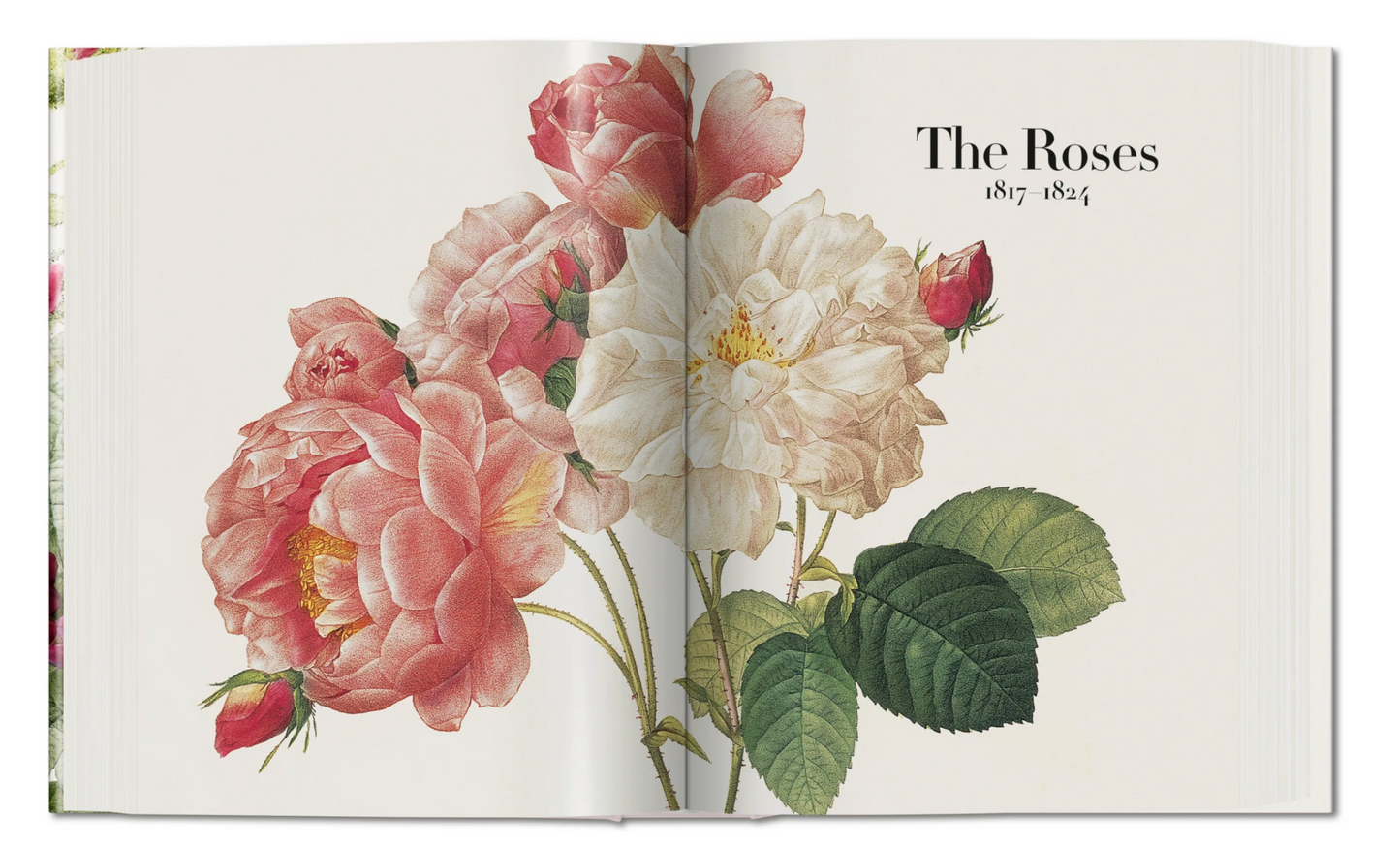 The Book of Flowers