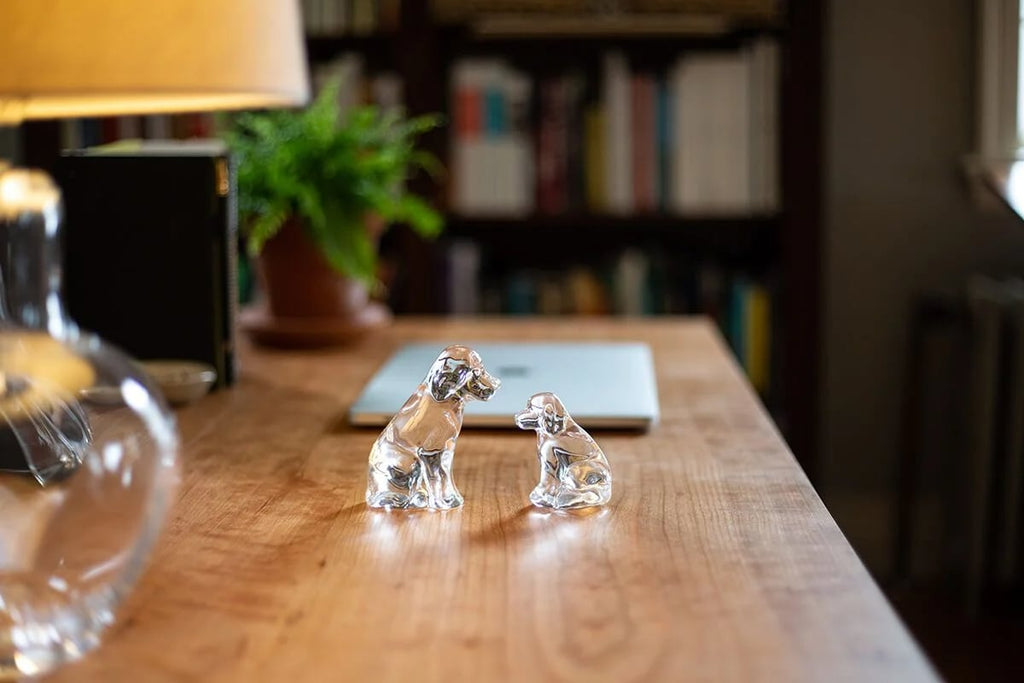 Glass Dog