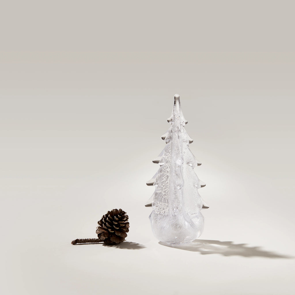 Silver Leaf Evergreen