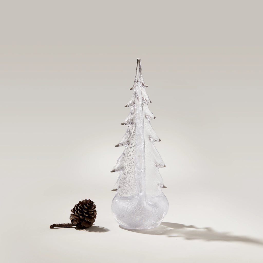 Silver Leaf Evergreen