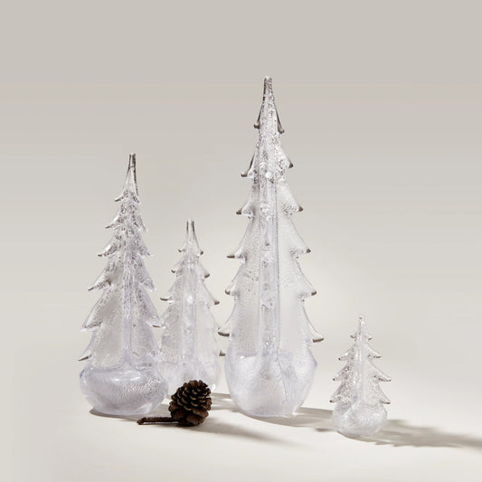 Silver Leaf Evergreen